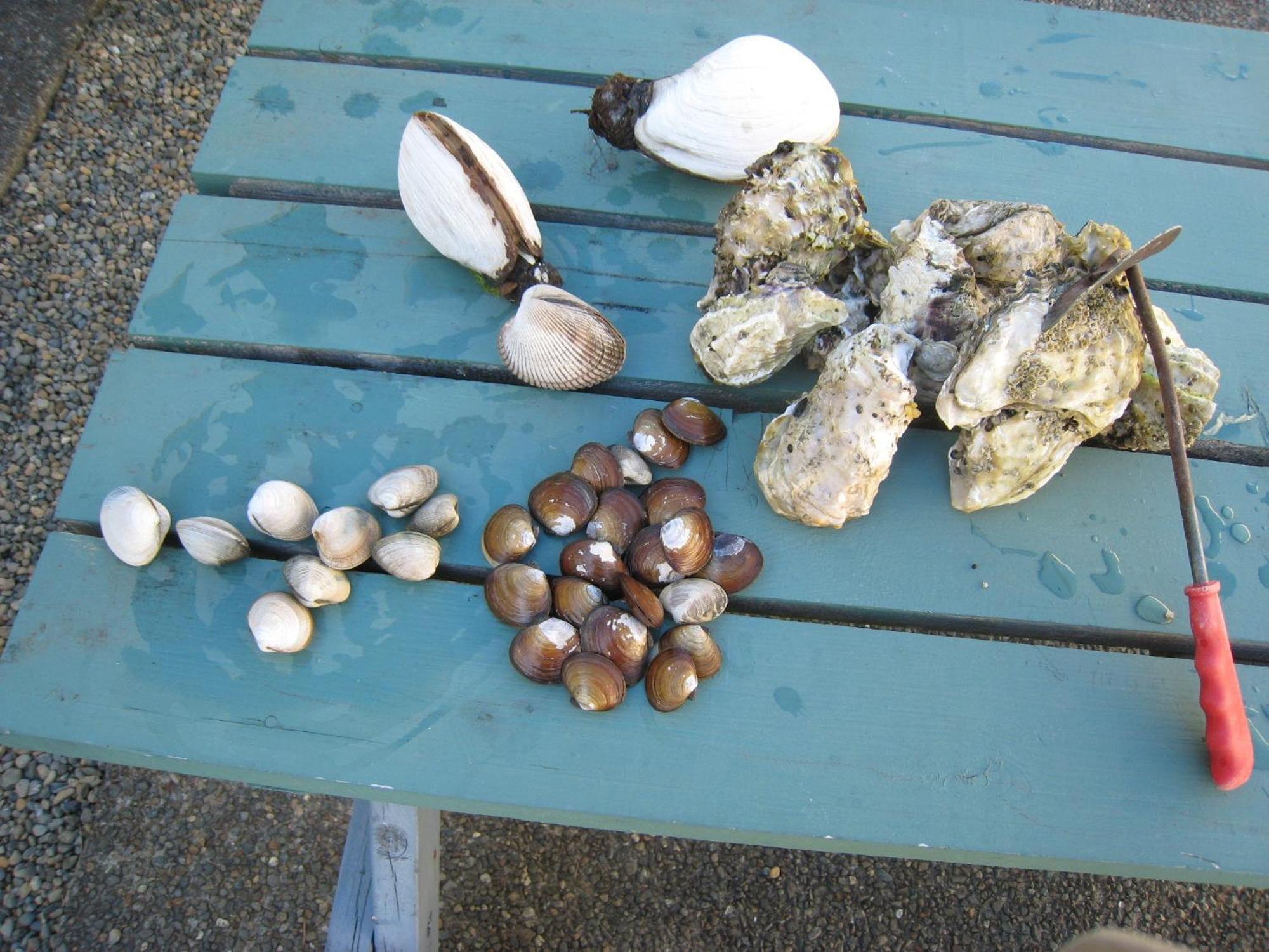 Riverside Resort & Rv Park Qualicum Beach Exterior photo